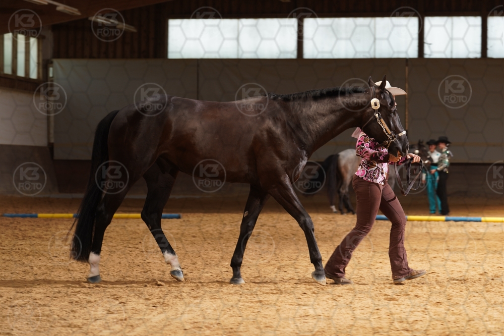 s_A9_08603.jpg